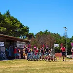 Arena Stupice Homes