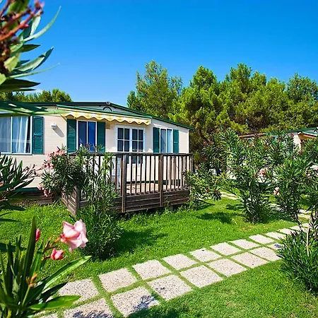 Arena Stupice Homes 4*