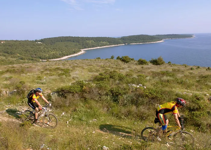 Πάρκο διακοπών Arena Stupice Homes Premantura