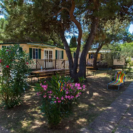 Arena Stupice Homes 4*