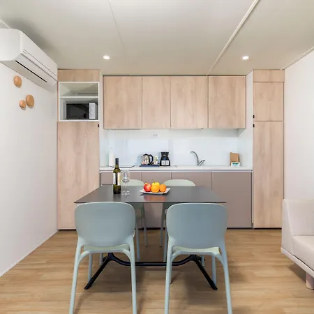 Arena Stupice Homes 假日公园