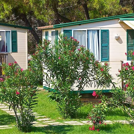 Arena Stupice Camping Homes