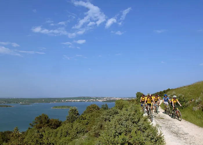 Arena Stupice Camping Homes