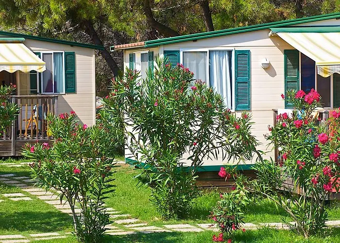 Arena Stupice Camping Homes